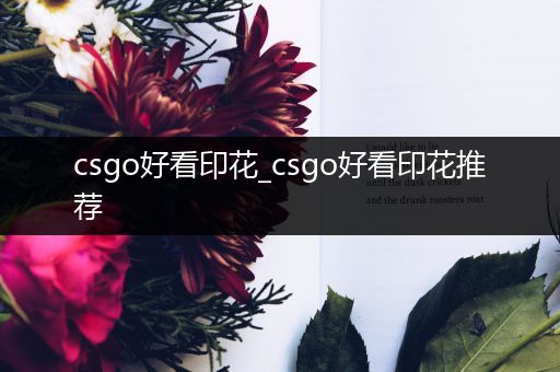 csgo好看印花_csgo好看印花推荐