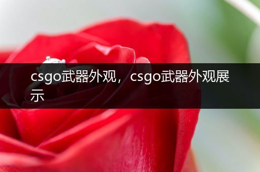 csgo武器外观，csgo武器外观展示