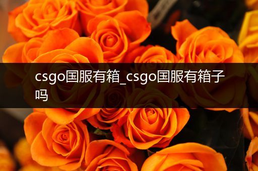 csgo国服有箱_csgo国服有箱子吗