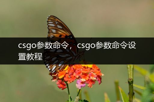 csgo参数命令，csgo参数命令设置教程