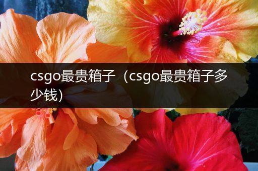 csgo最贵箱子（csgo最贵箱子多少钱）