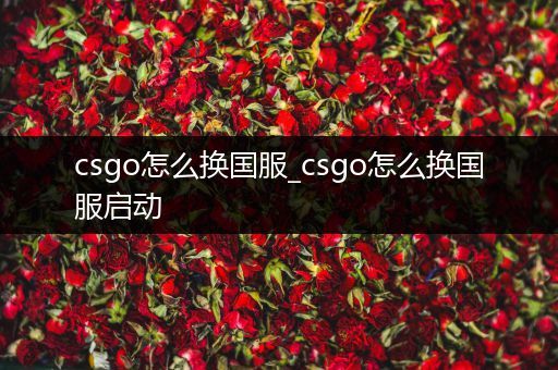 csgo怎么换国服_csgo怎么换国服启动