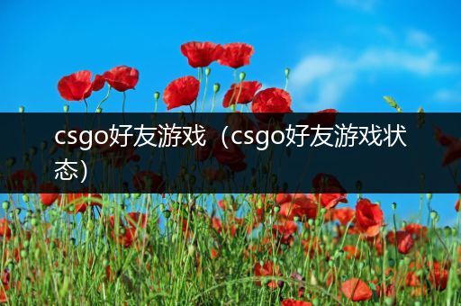 csgo好友游戏（csgo好友游戏状态）