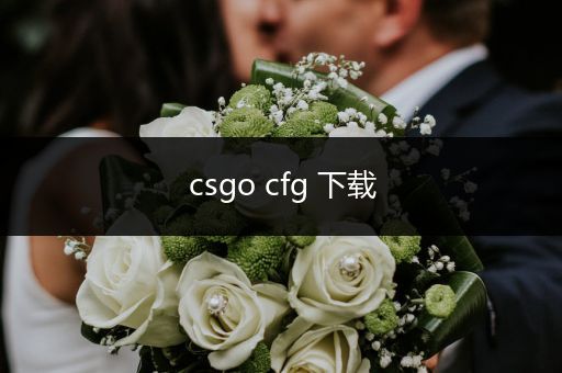 csgo cfg 下载