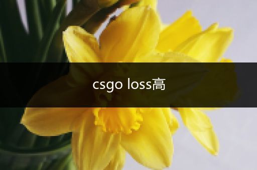 csgo loss高