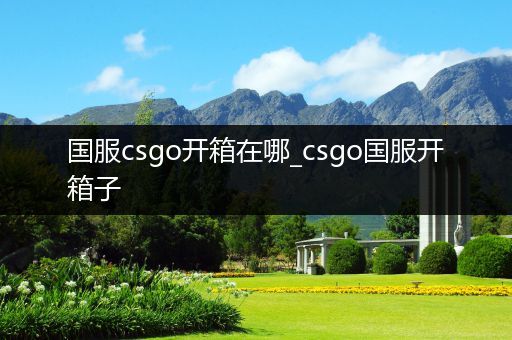 国服csgo开箱在哪_csgo国服开箱子