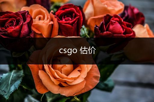 csgo 估价