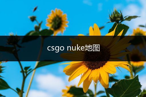 csgo nuke地图