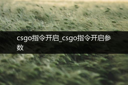 csgo指令开启_csgo指令开启参数