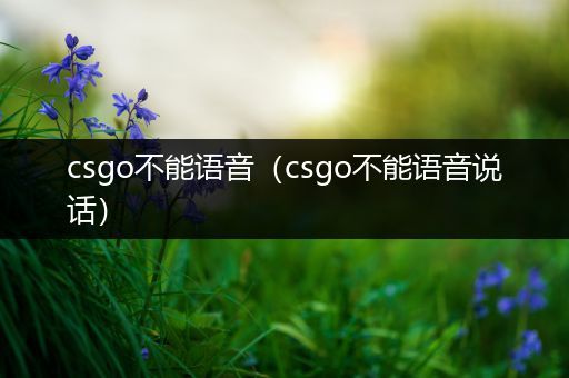 csgo不能语音（csgo不能语音说话）