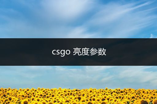 csgo 亮度参数