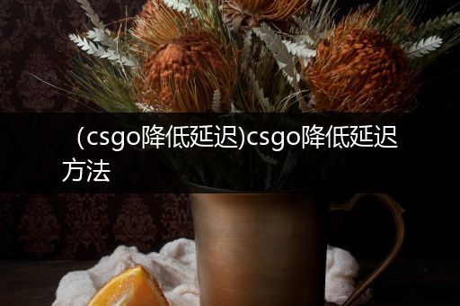 （csgo降低延迟)csgo降低延迟方法