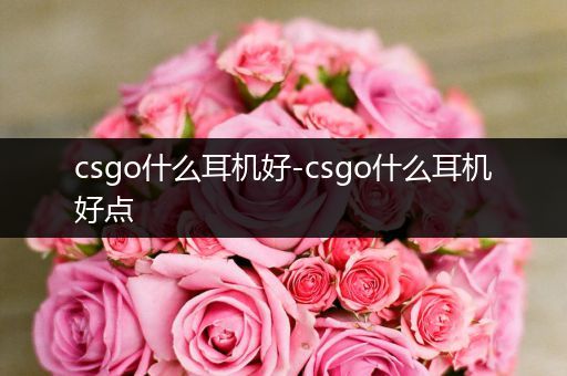 csgo什么耳机好-csgo什么耳机好点