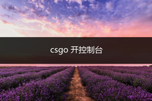 csgo 开控制台