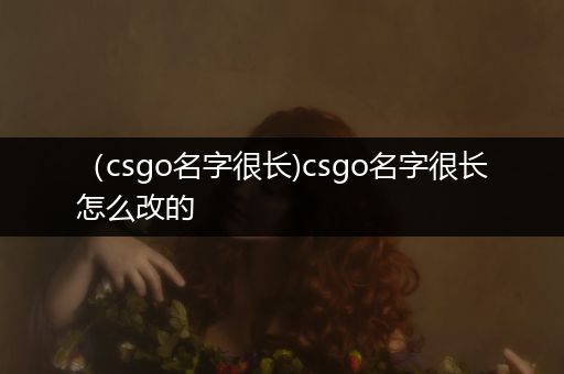 （csgo名字很长)csgo名字很长怎么改的