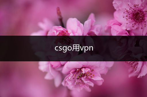 csgo用vpn