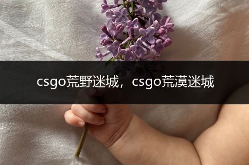 csgo荒野迷城，csgo荒漠迷城