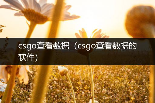 csgo查看数据（csgo查看数据的软件）