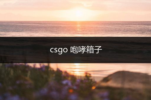 csgo 咆哮箱子