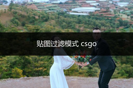 贴图过滤模式 csgo