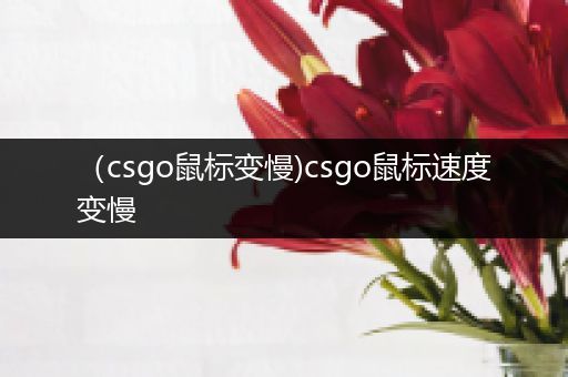 （csgo鼠标变慢)csgo鼠标速度变慢