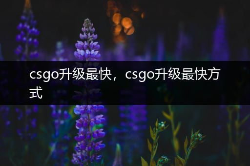 csgo升级最快，csgo升级最快方式