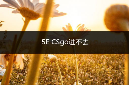 5E CSgo进不去