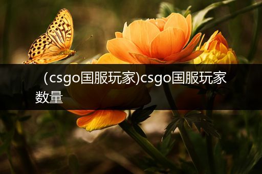 （csgo国服玩家)csgo国服玩家数量