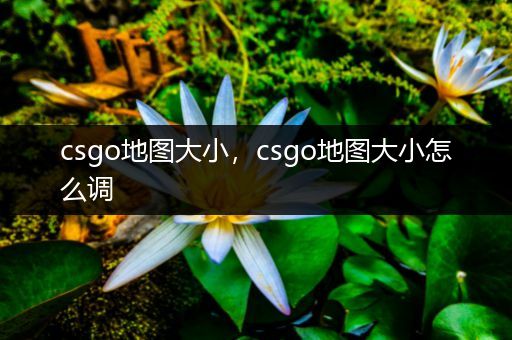 csgo地图大小，csgo地图大小怎么调