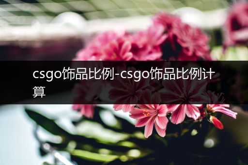 csgo饰品比例-csgo饰品比例计算