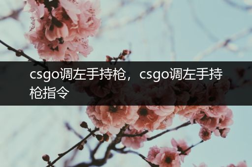 csgo调左手持枪，csgo调左手持枪指令