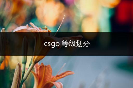 csgo 等级划分