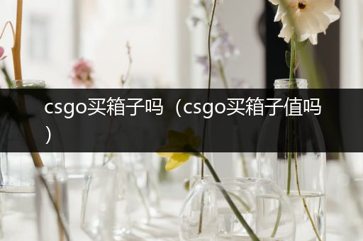 csgo买箱子吗（csgo买箱子值吗）