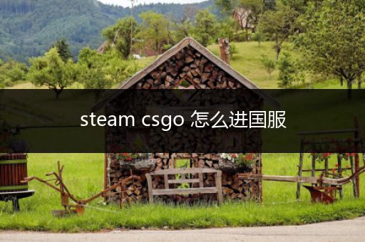 steam csgo 怎么进国服