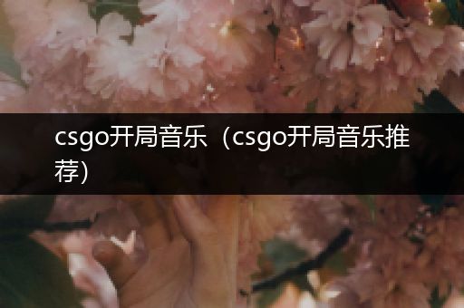 csgo开局音乐（csgo开局音乐推荐）