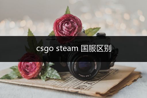 csgo steam 国服区别