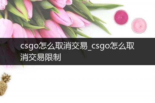 csgo怎么取消交易_csgo怎么取消交易限制