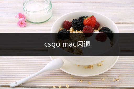 csgo mac闪退