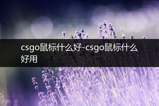 csgo鼠标什么好-csgo鼠标什么好用