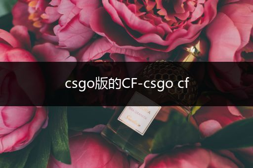 csgo版的CF-csgo cf