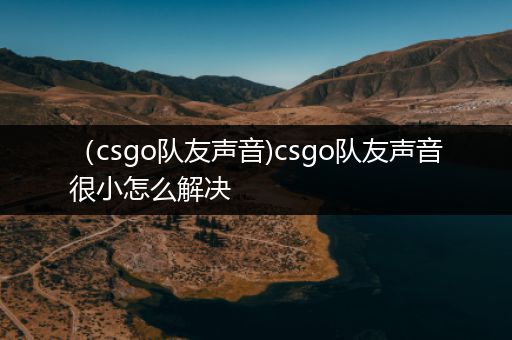 （csgo队友声音)csgo队友声音很小怎么解决