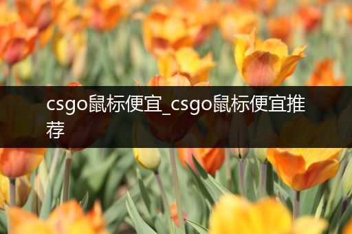 csgo鼠标便宜_csgo鼠标便宜推荐