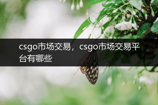 csgo市场交易，csgo市场交易平台有哪些