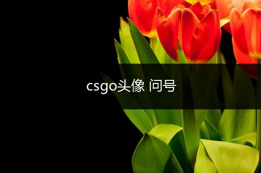 csgo头像 问号