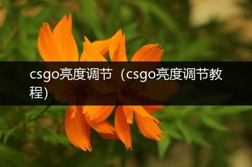 csgo亮度调节（csgo亮度调节教程）