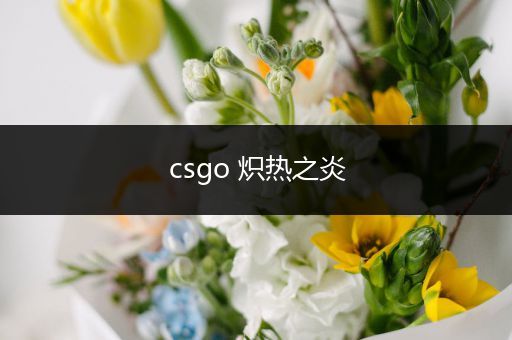 csgo 炽热之炎