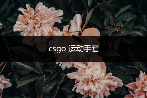 csgo 运动手套