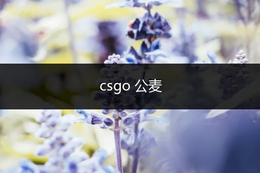 csgo 公麦