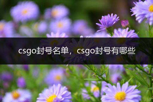 csgo封号名单，csgo封号有哪些