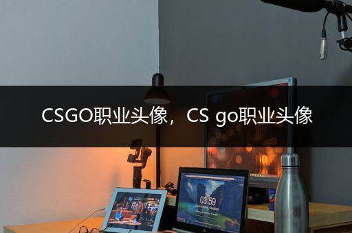 CSGO职业头像，CS go职业头像